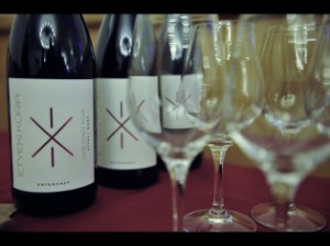 Pinot noir evolúció Etyeken