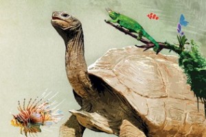 Egzotikus állat- és növénykiállítás, vásár