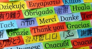 Melyek a leggyakoribb nyelvek szakfordítás esetében?
